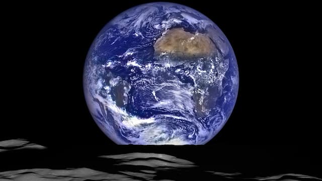 Scientists want to send endangered species to the moon
