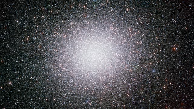 The nearest midsized black hole might instead be a horde of lightweights