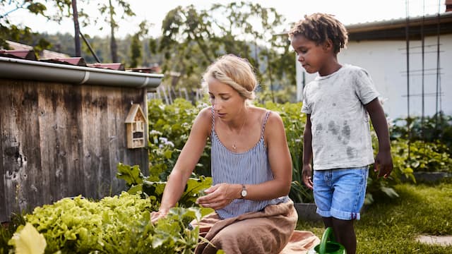 Can scientists make fruits and veggies resilient to climate change?