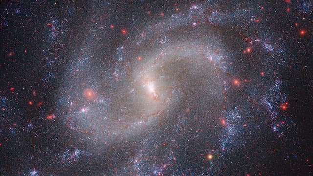 In an epic cosmology clash, rival scientists begin to find common ground 