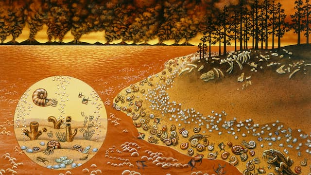 Mega El Niños kicked off the world's worst mass extinction